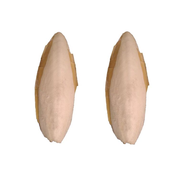 کف دریا کد 214 g وزن 14 گرم مجموعه 2 عددی